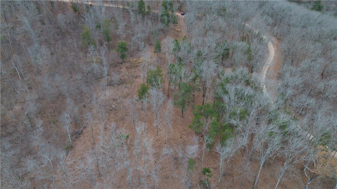 Image 13