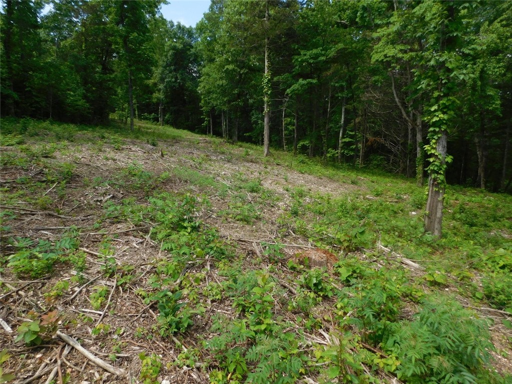 Image 15