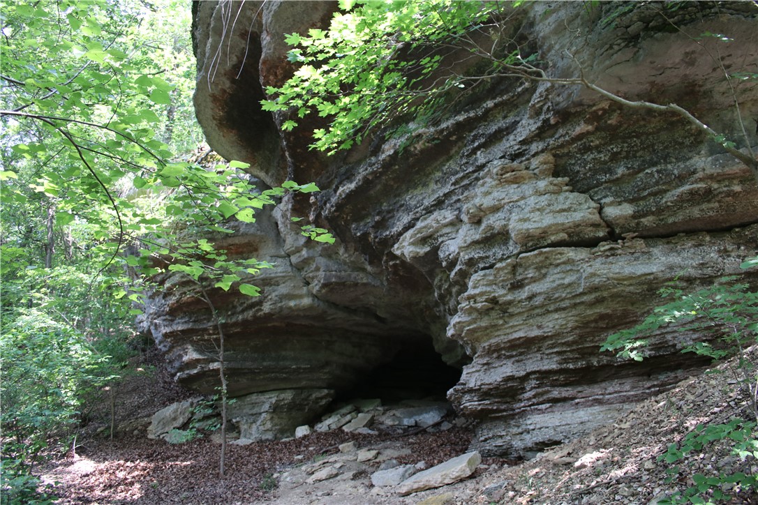 Image 11
