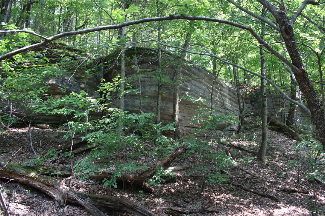 Image 12