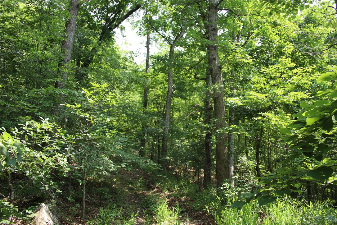 Image 15