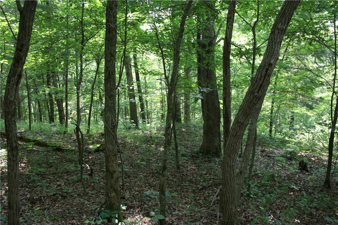 Image 16