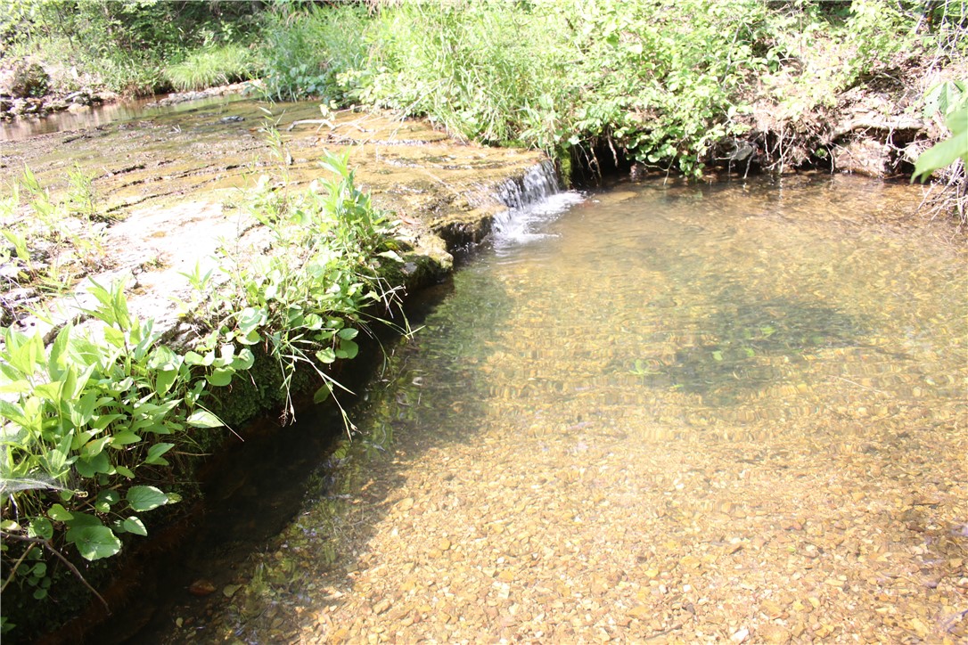 Image 23