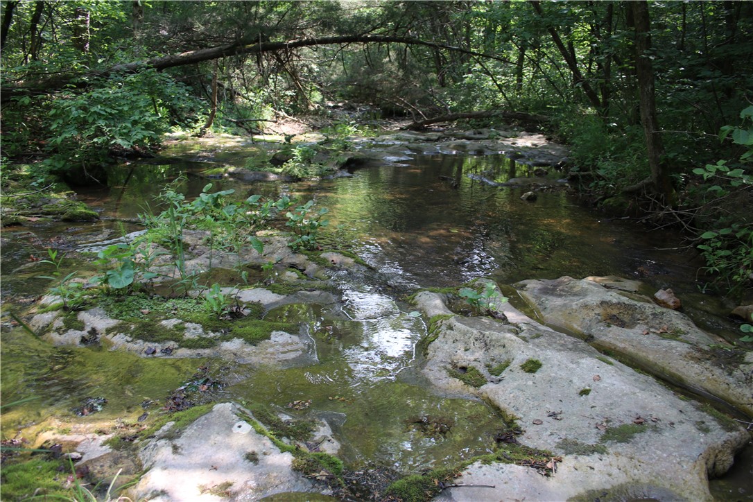 Image 25