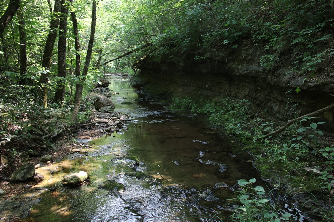 Image 28
