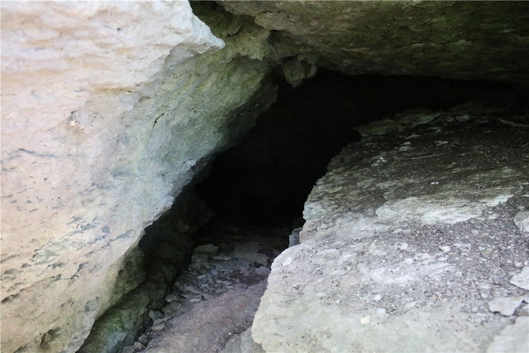 Image 37