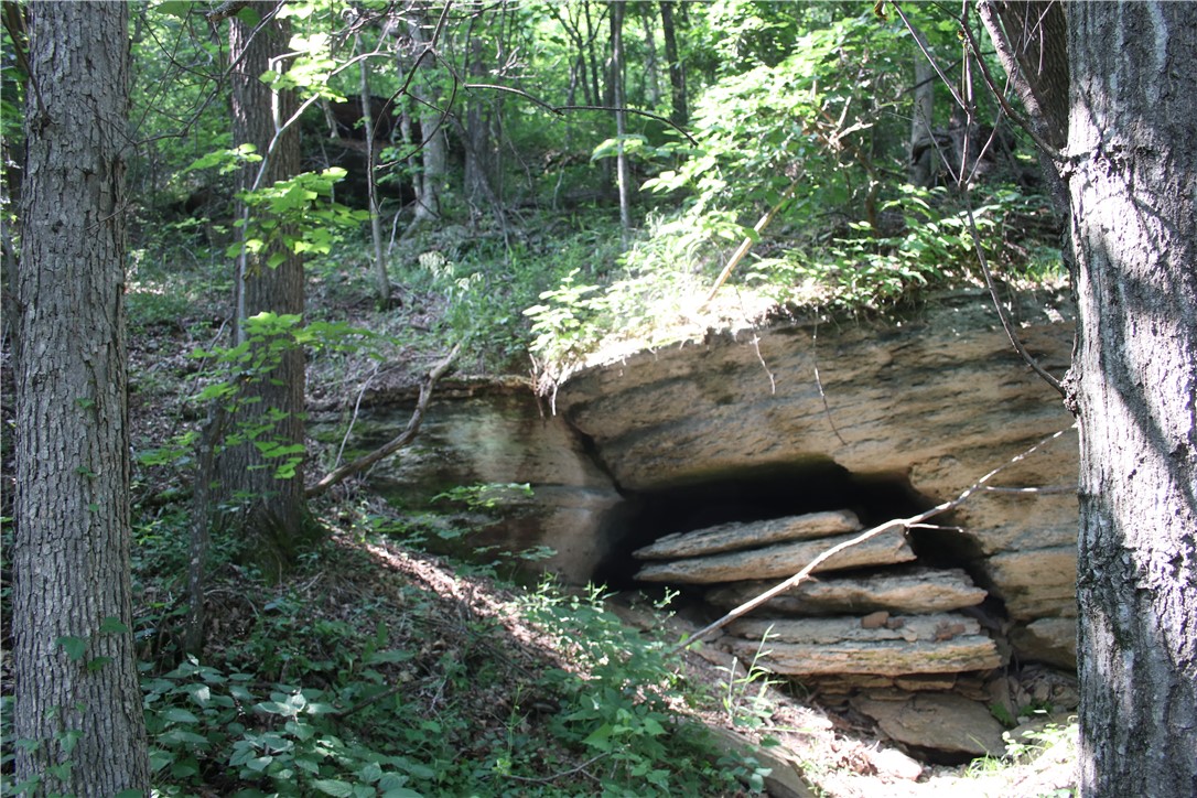 Image 39