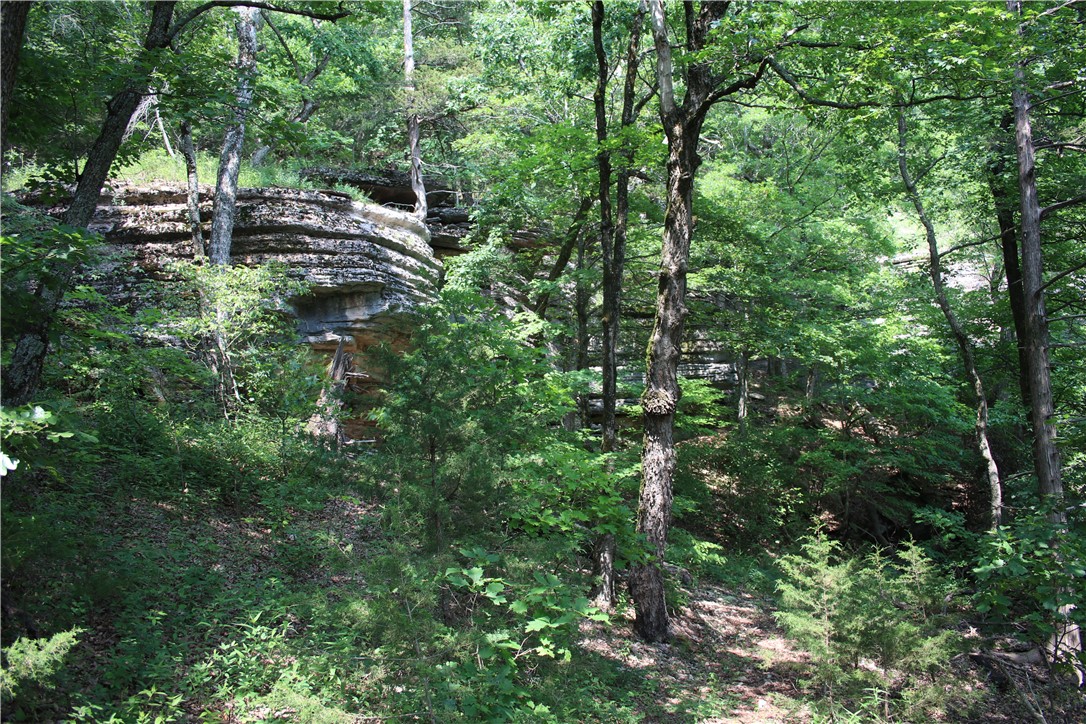 Image 41