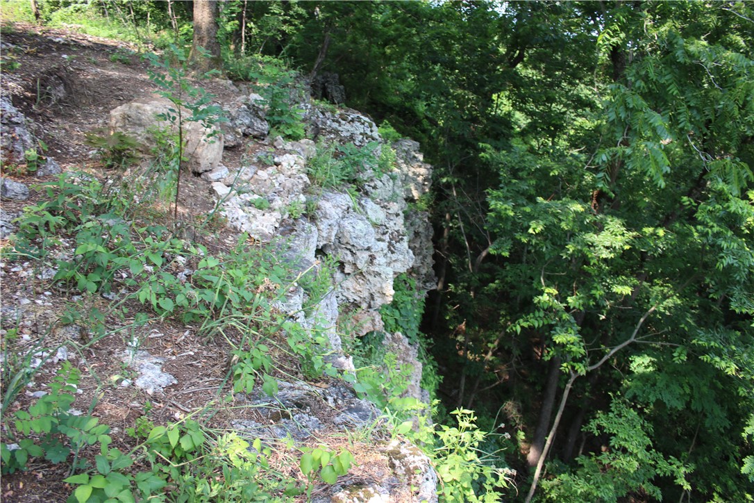Image 46