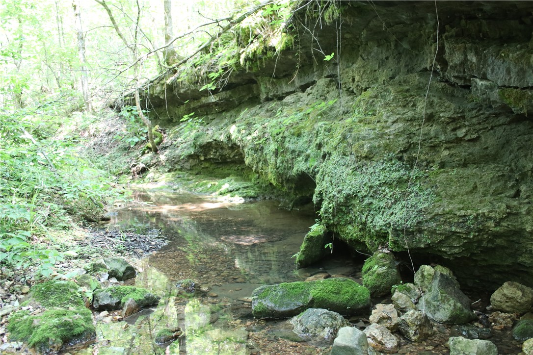 Image 9
