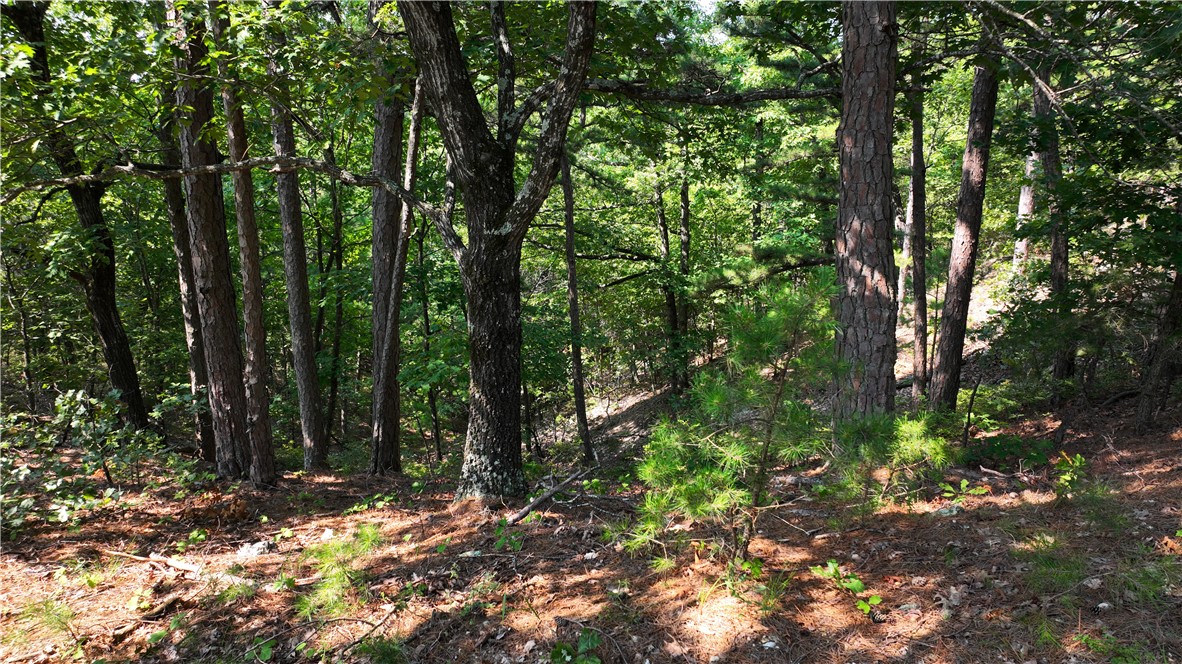 Image 13