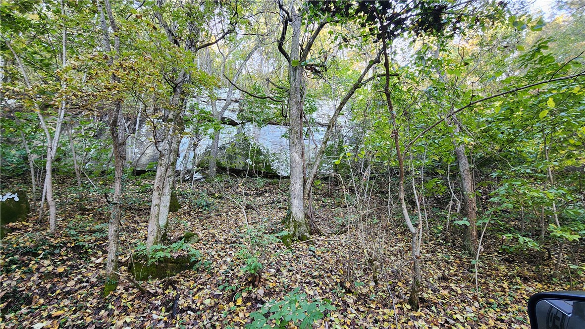 Image 12
