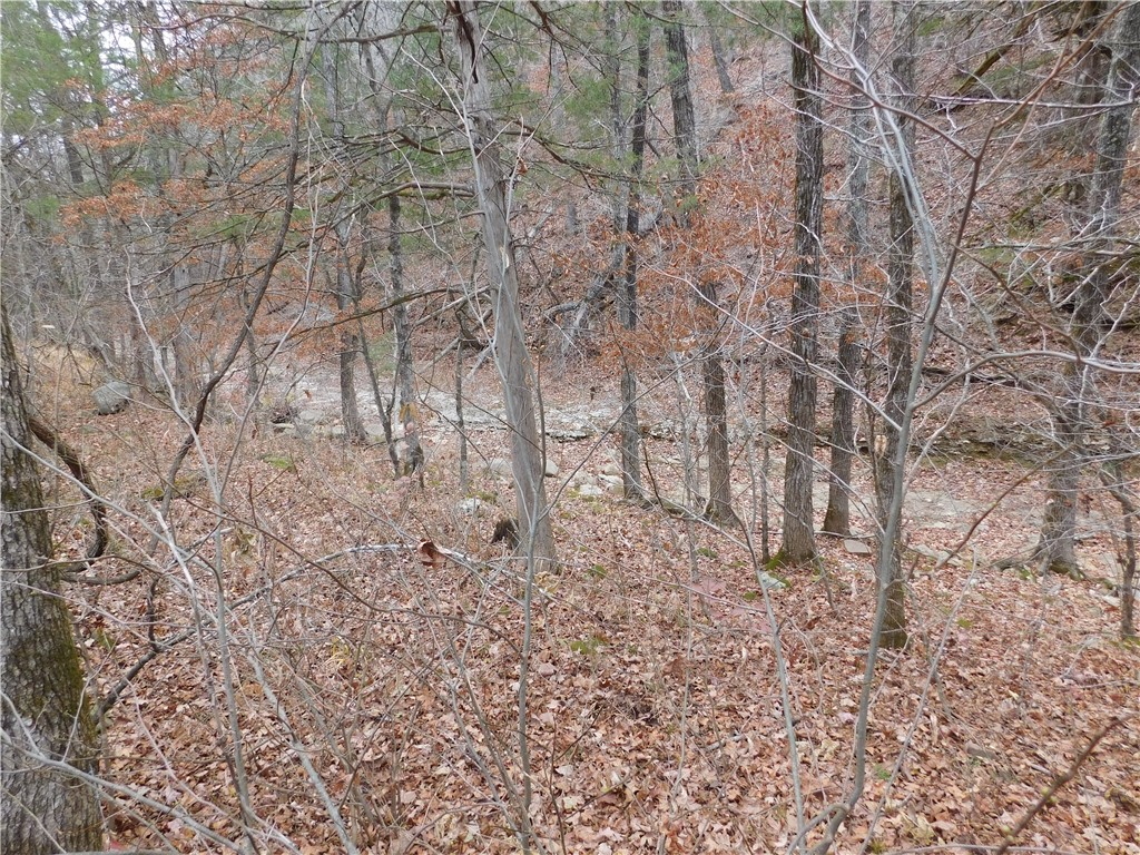 Image 30