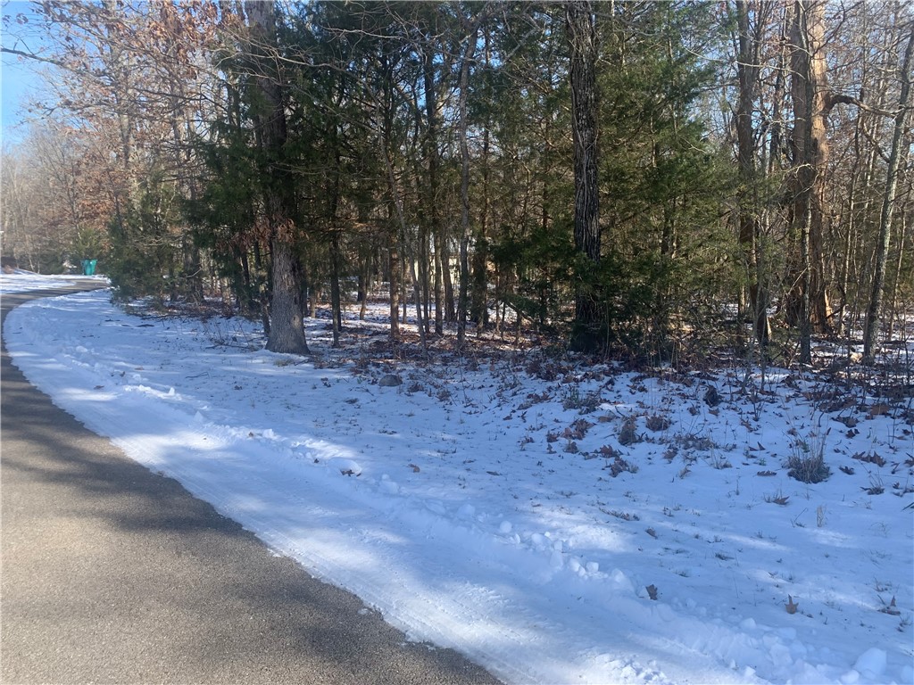 Image 8