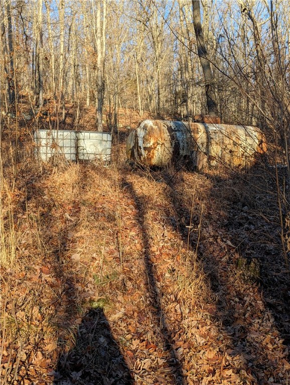 Image 52