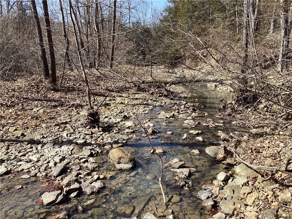 Image 13