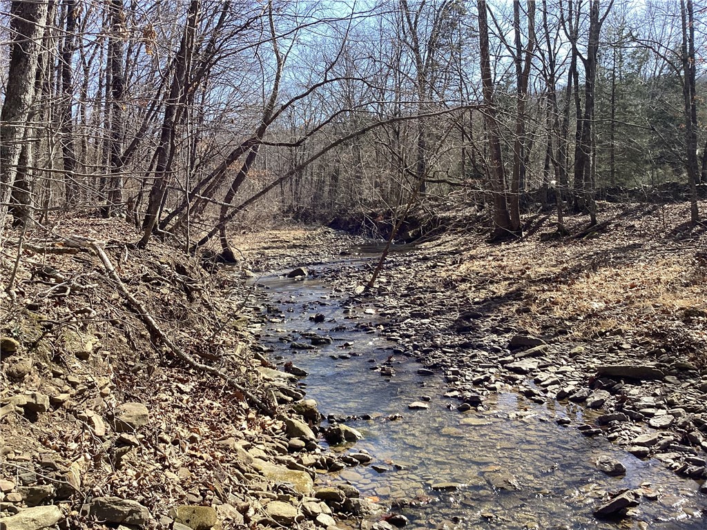 Image 14