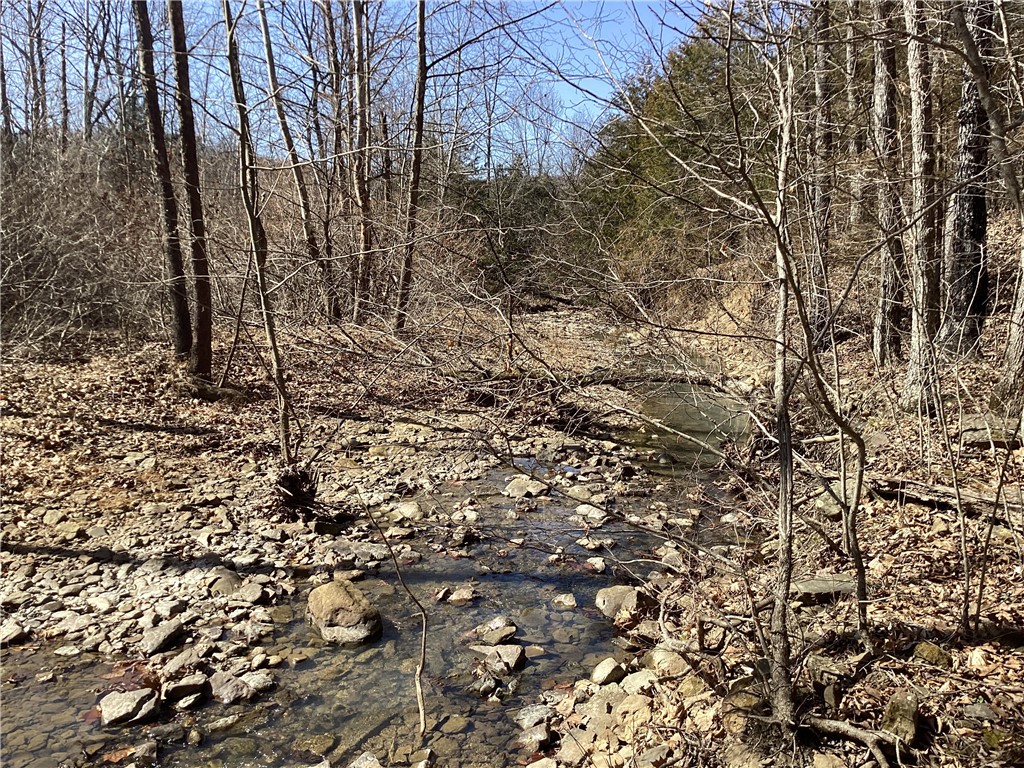 Image 15