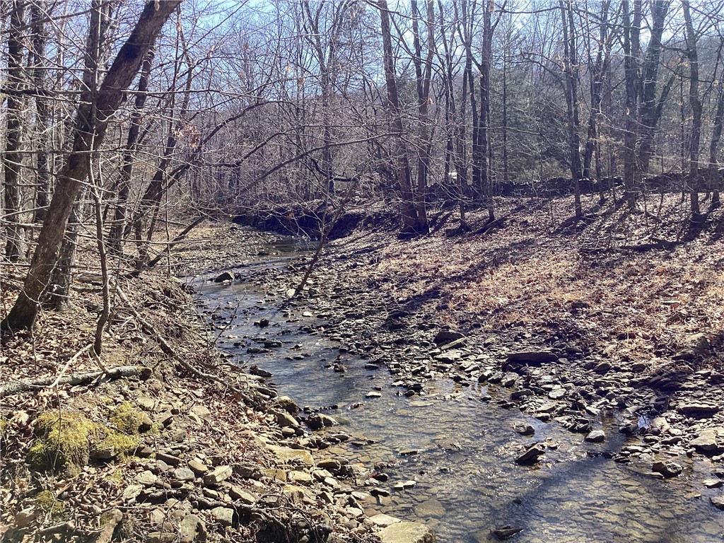 Image 16