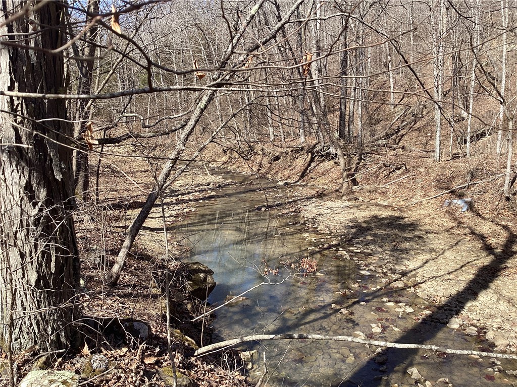 Image 18