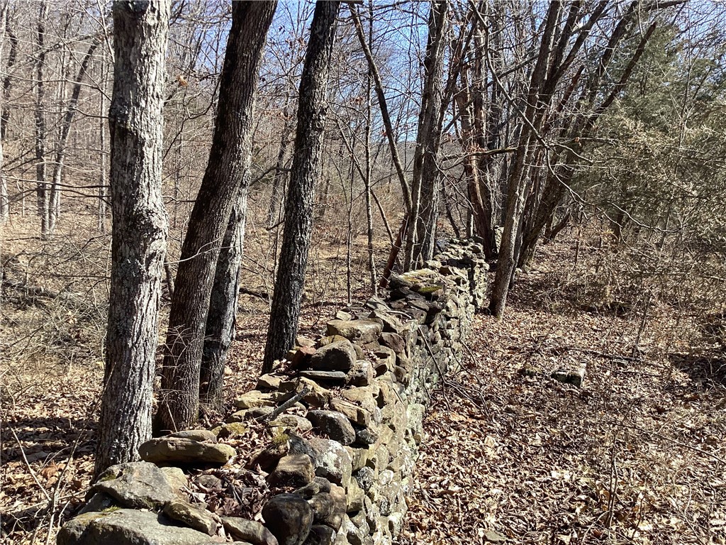 Image 19