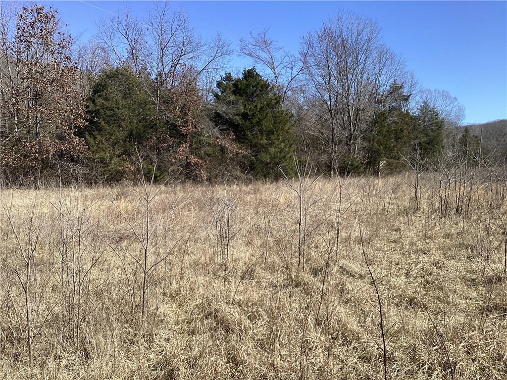Image 21