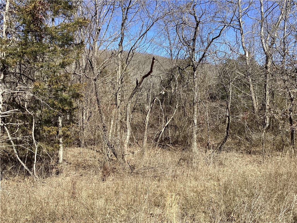 Image 6