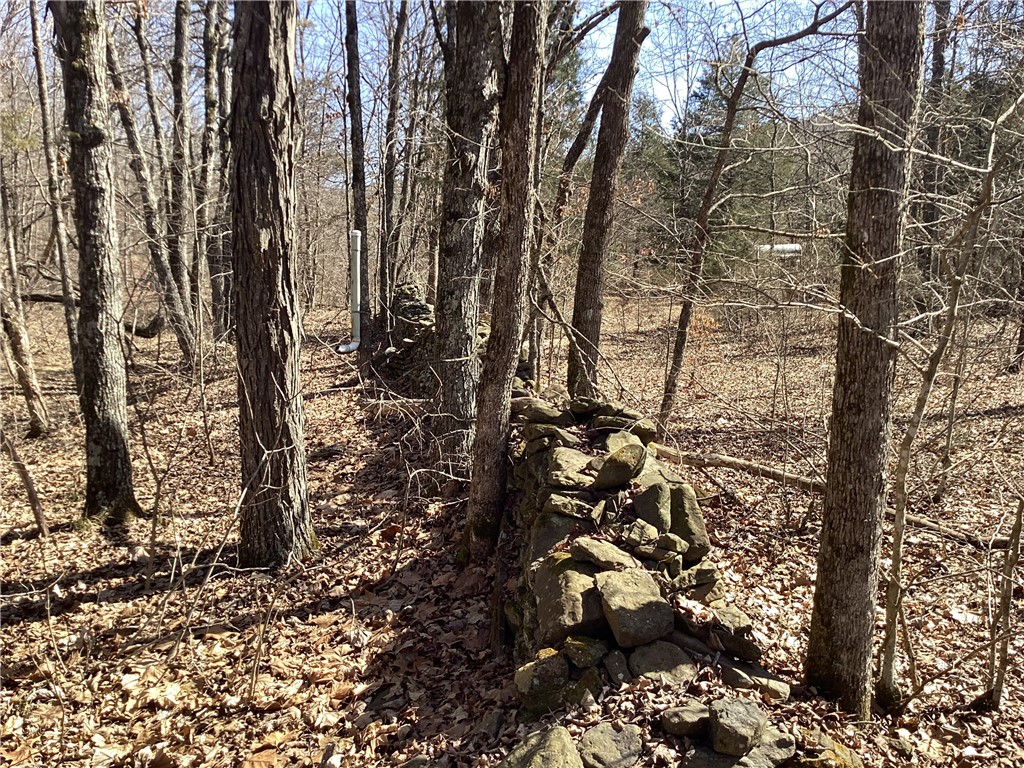Image 9