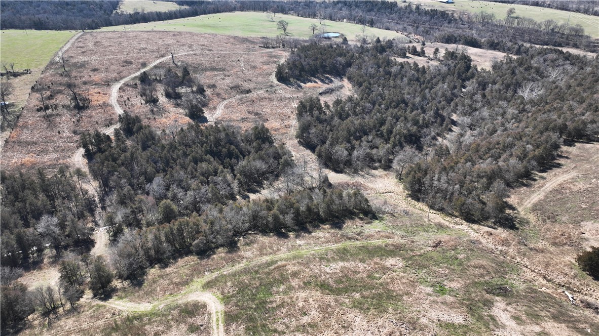 Image 13