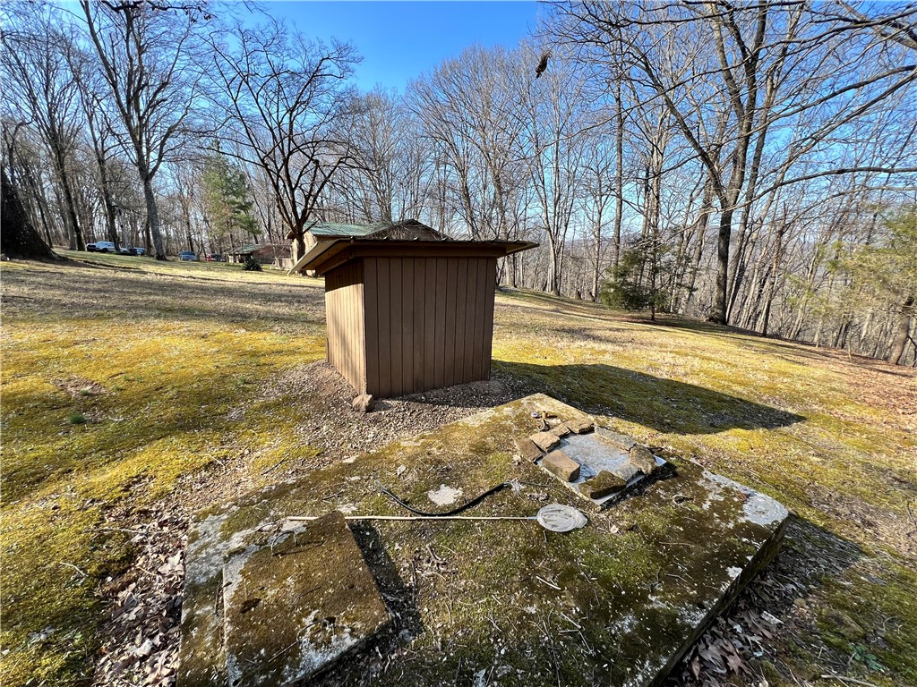 Image 30