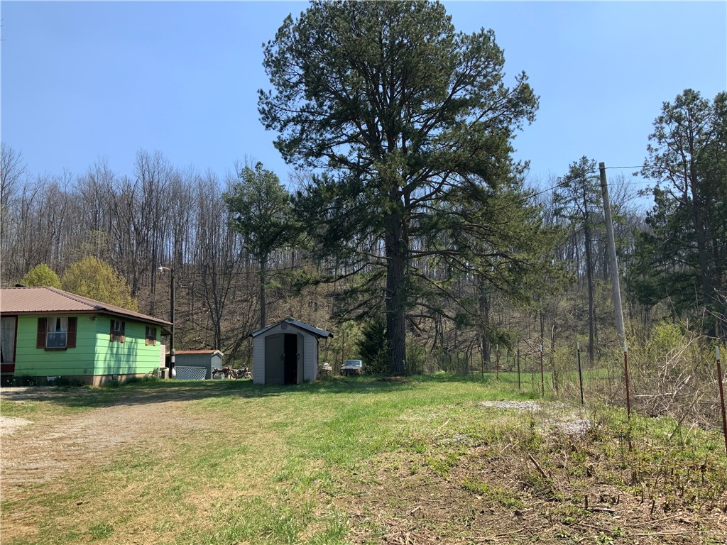 Image 10