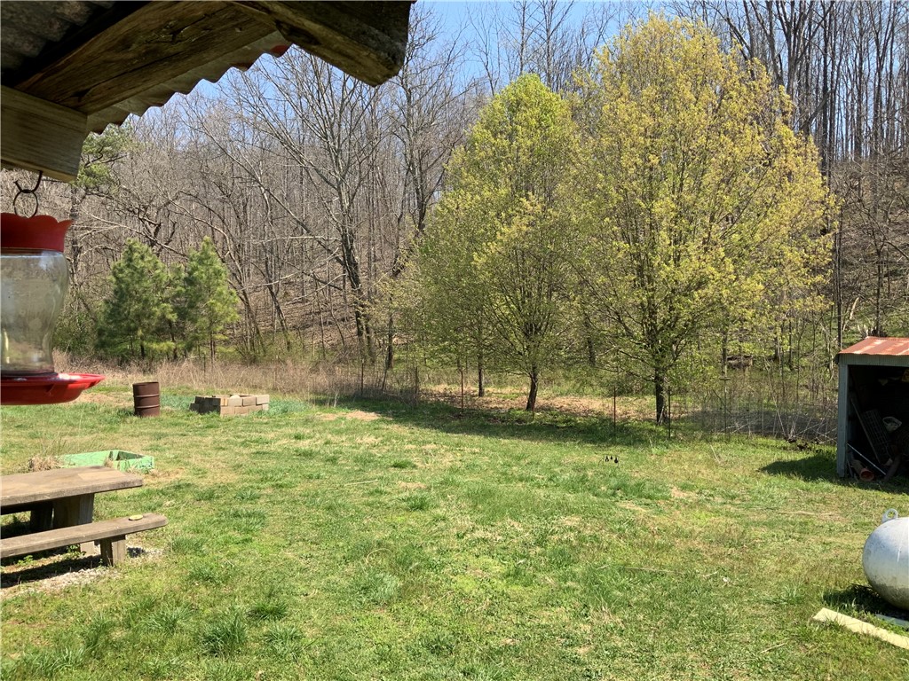 Image 14
