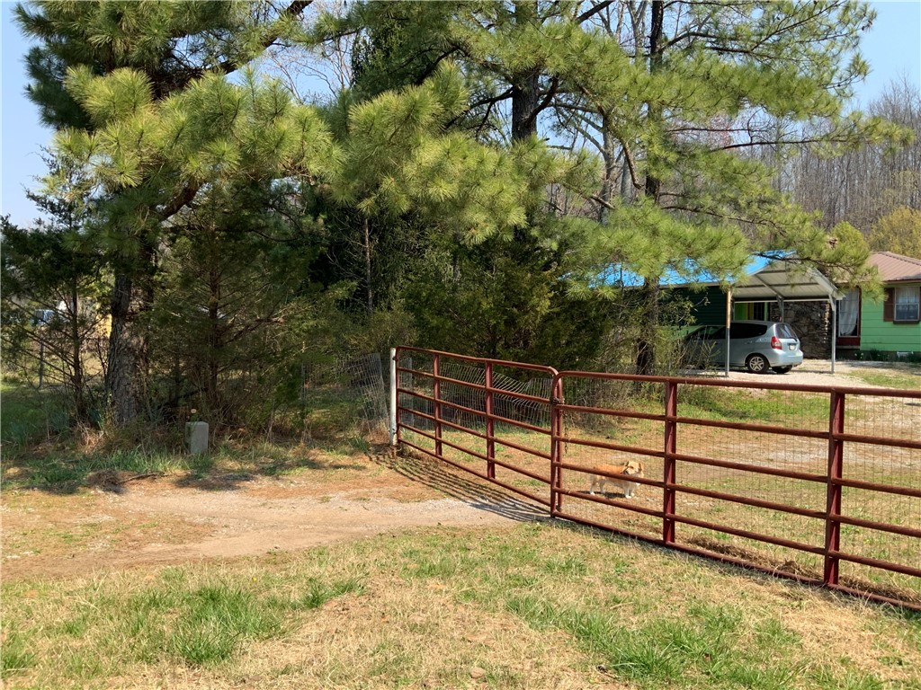 Image 19