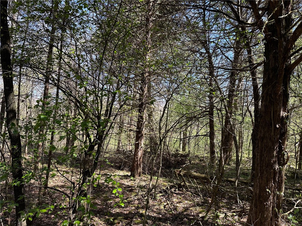 Image 15