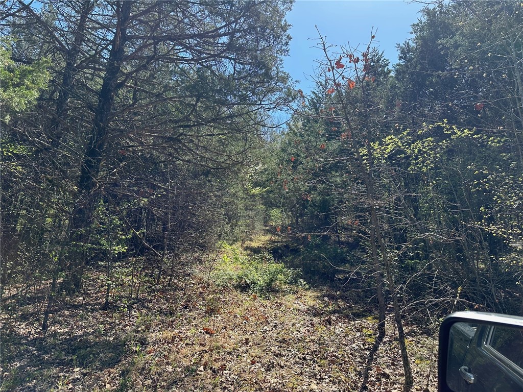 Image 18