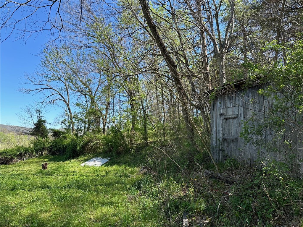 Image 9
