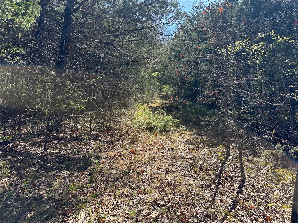 Image 12
