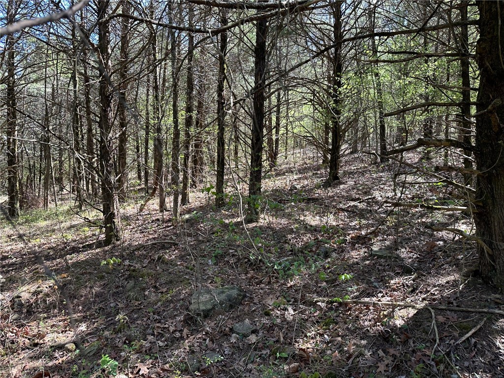 Image 13