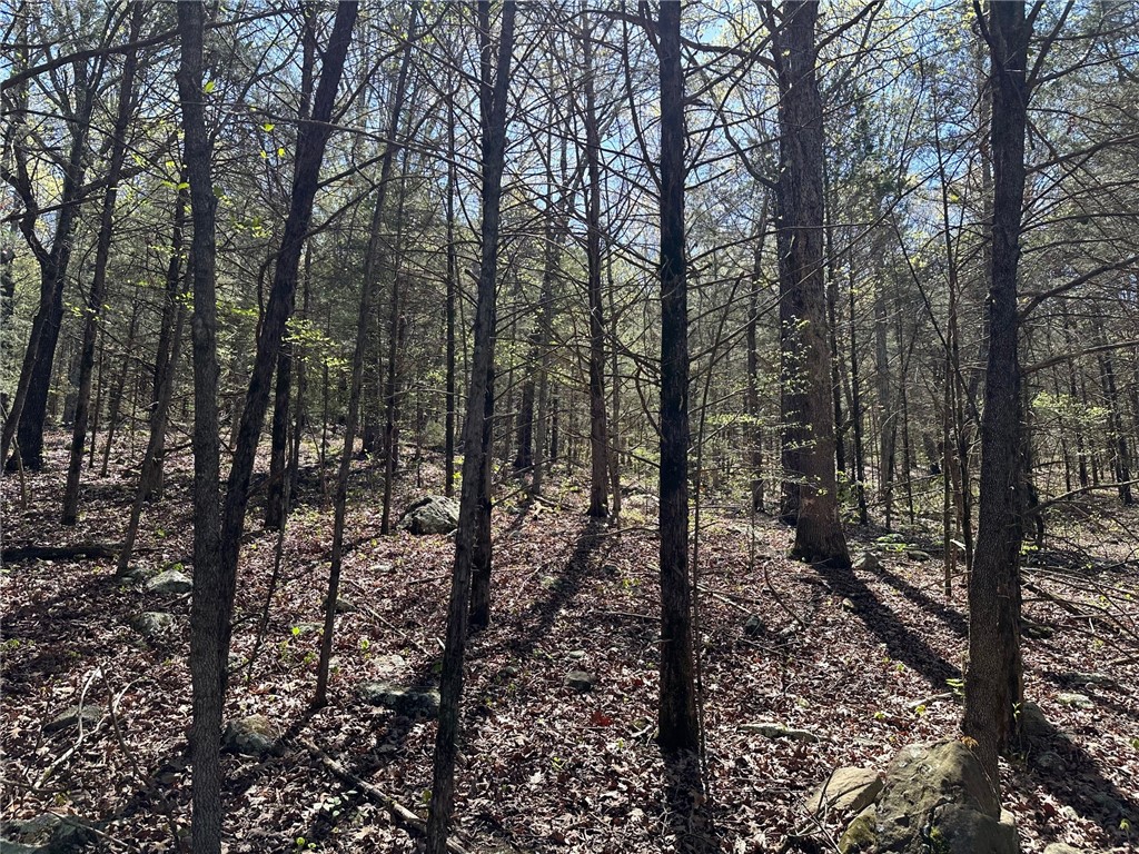 Image 14