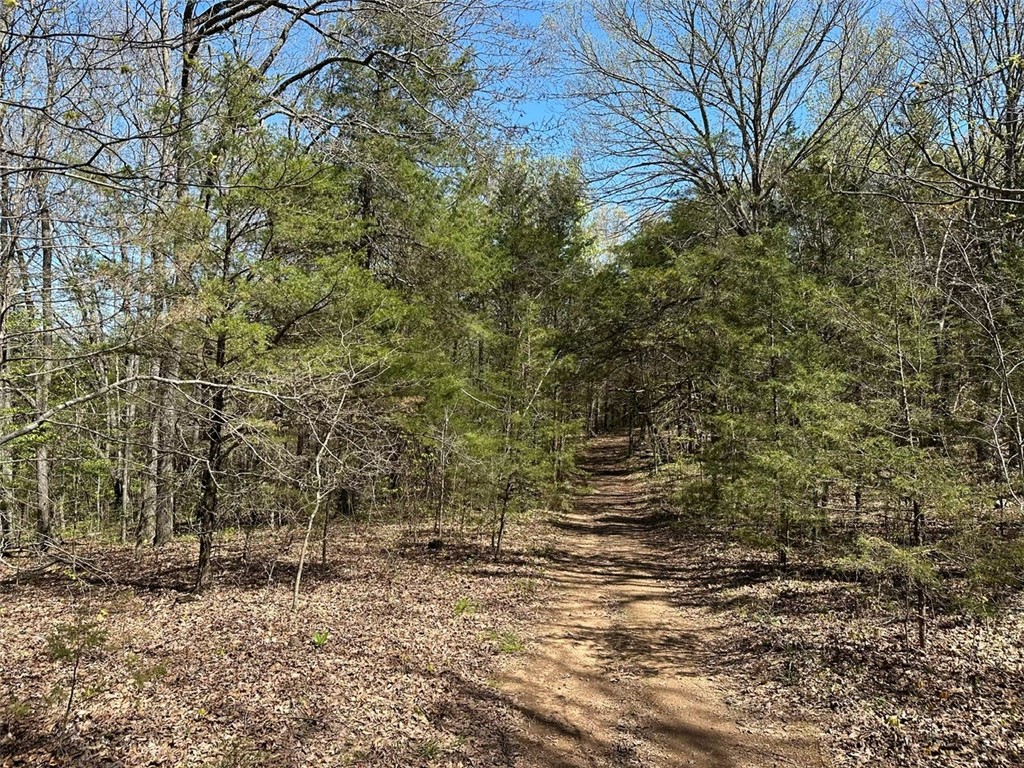 Image 15