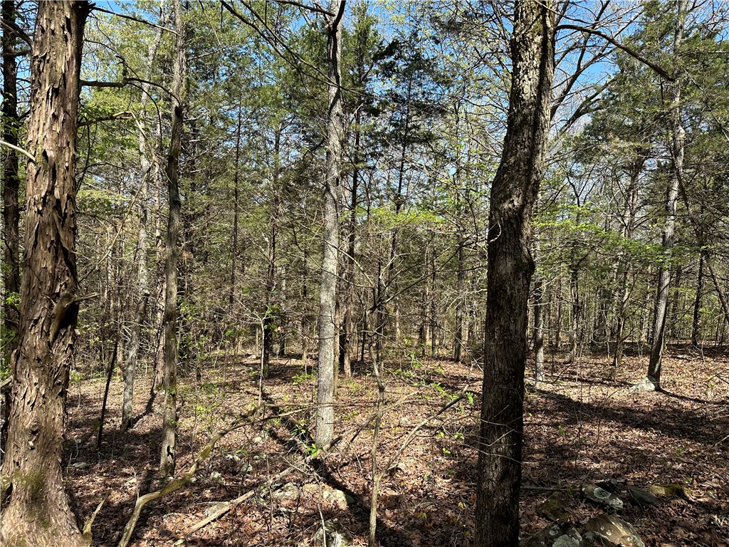 Image 18