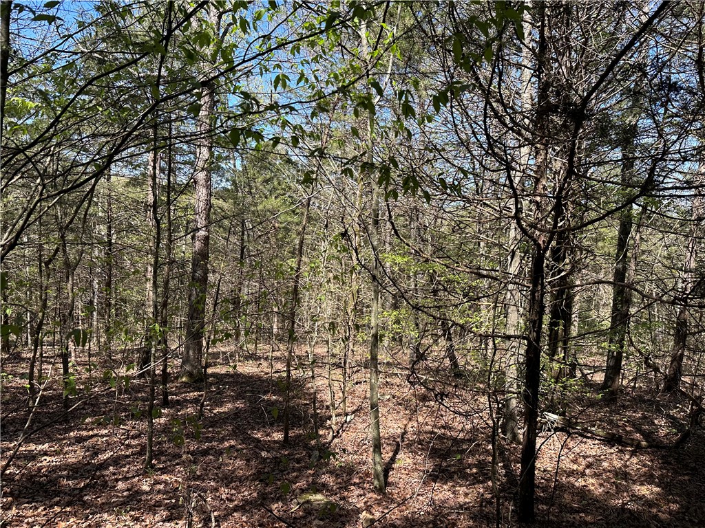 Image 19