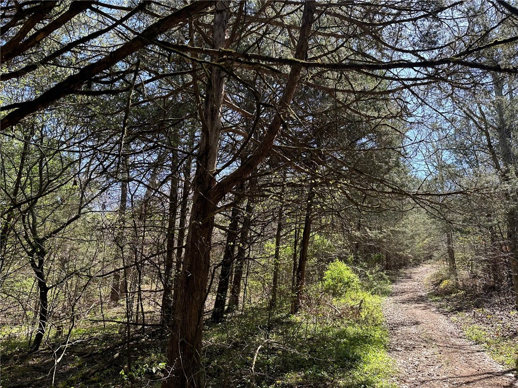 Image 9