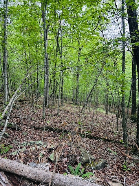 Image 13