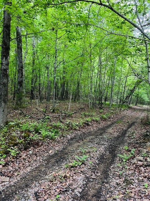 Image 14
