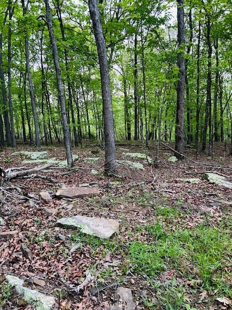 Image 16