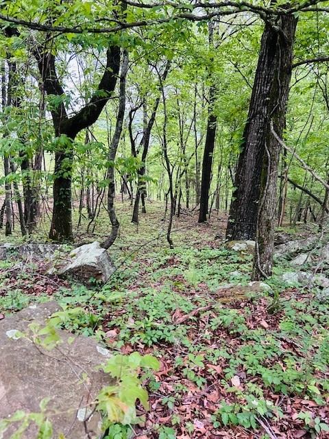 Image 8
