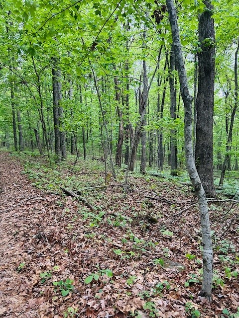 Image 9