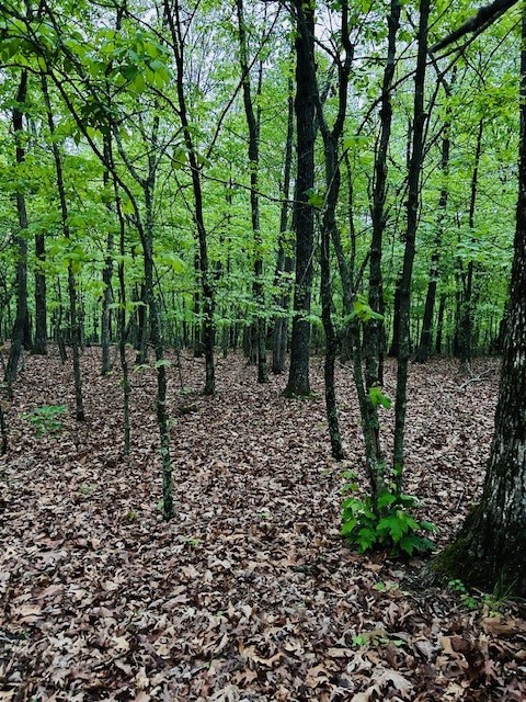 Image 13