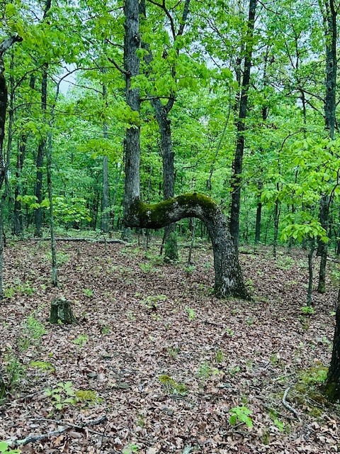 Image 14